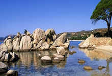 天涯长江论坛：畅谈长江文化的在线聚会